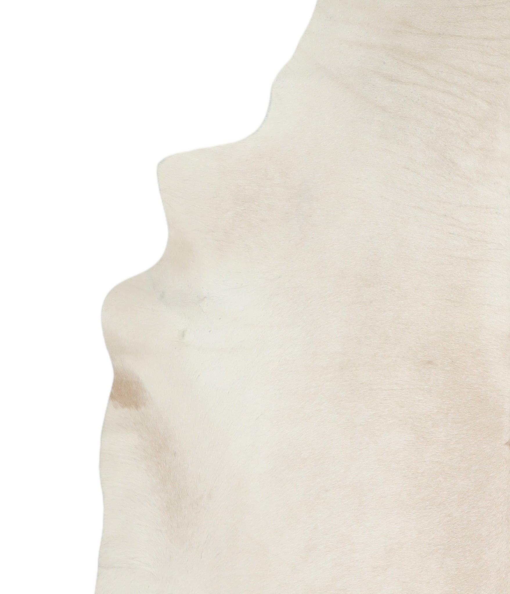 Palomino Cowhide Rug #A16597