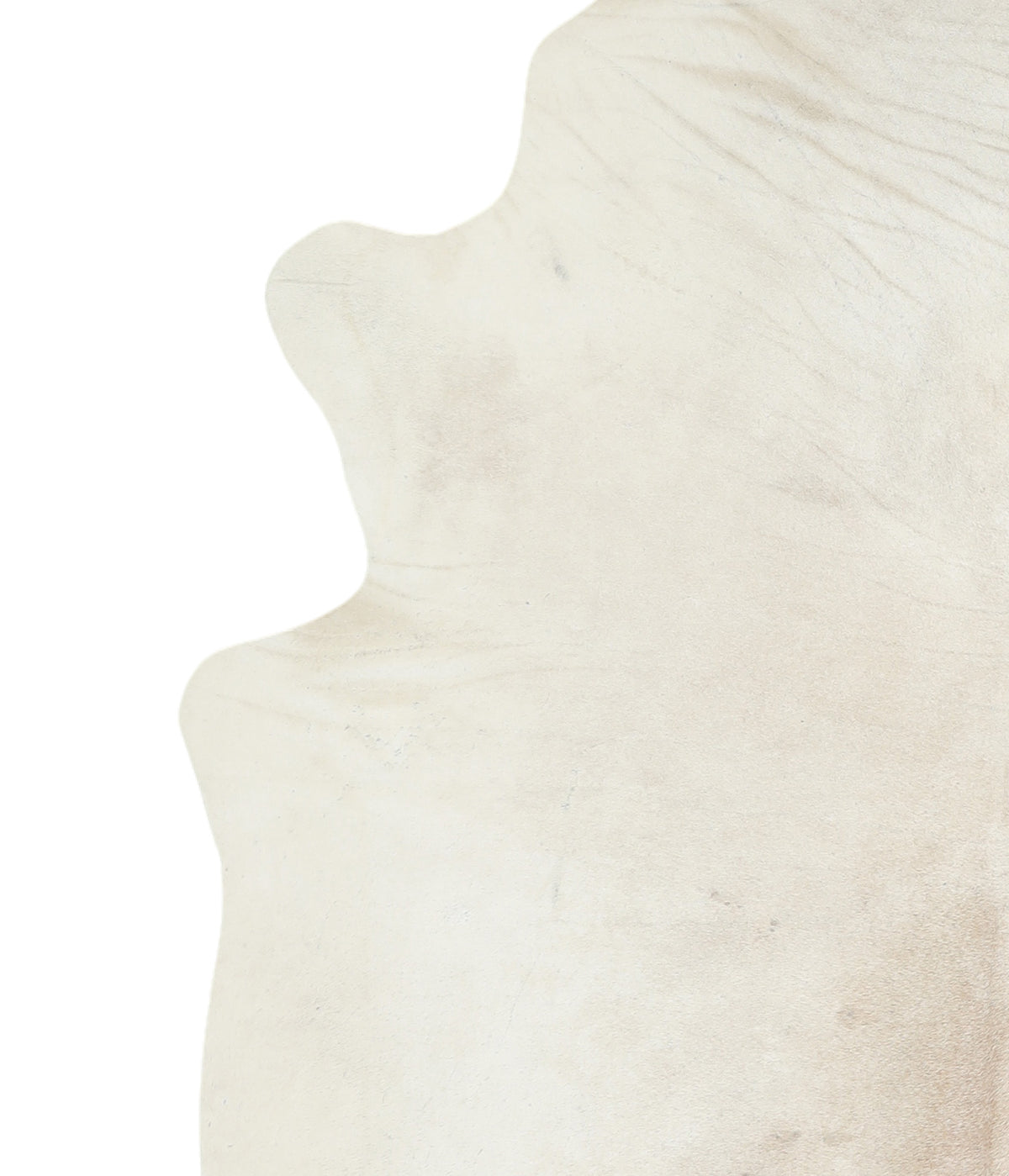 Ivory with Beige X-Large Brazilian Cowhide Rug 7'8"H x 6'4"W #A16690 by Hudson Hides