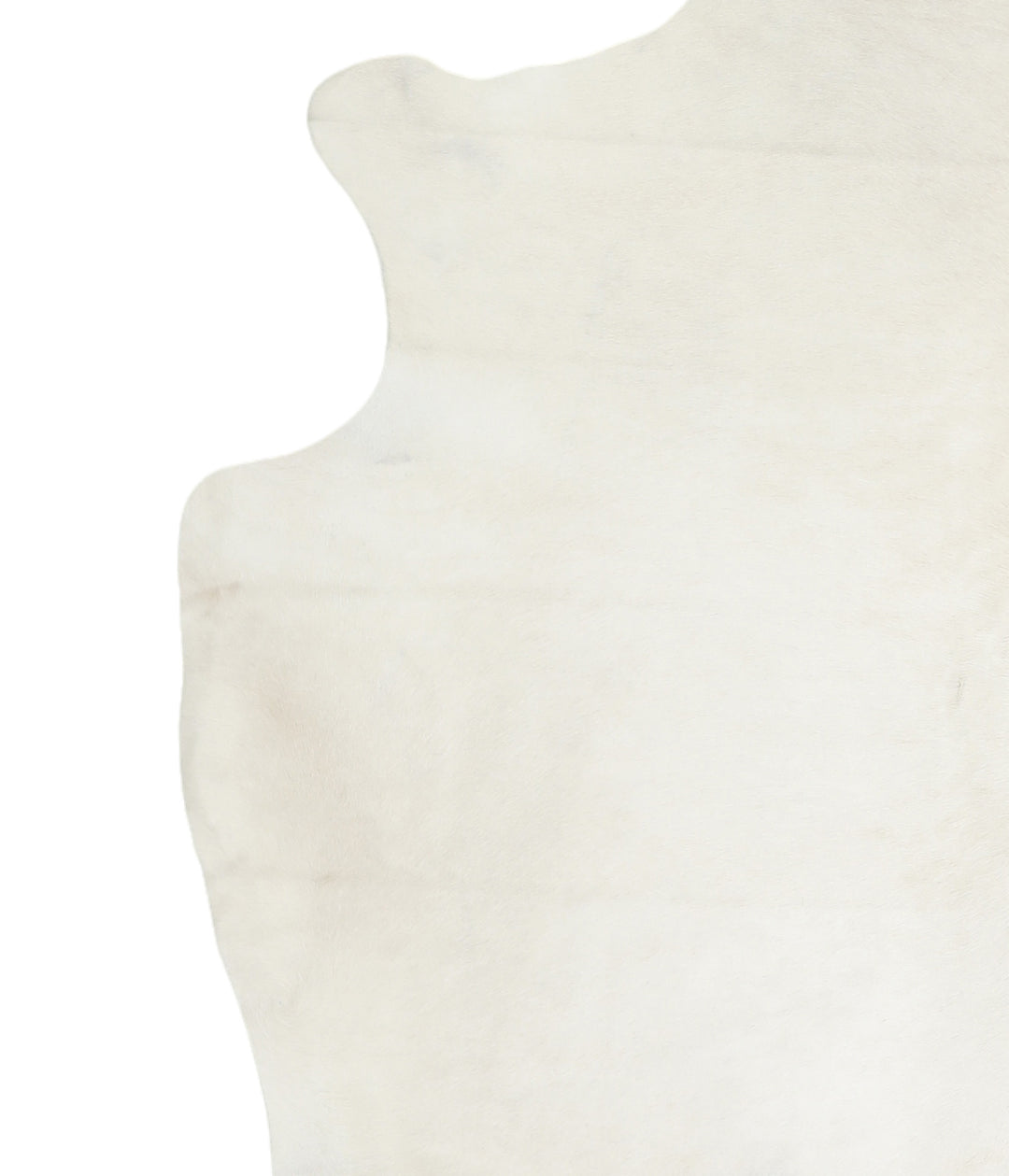 Ivory with Beige X-Large Brazilian Cowhide Rug 7'1"H x 6'9"W #A16802 b