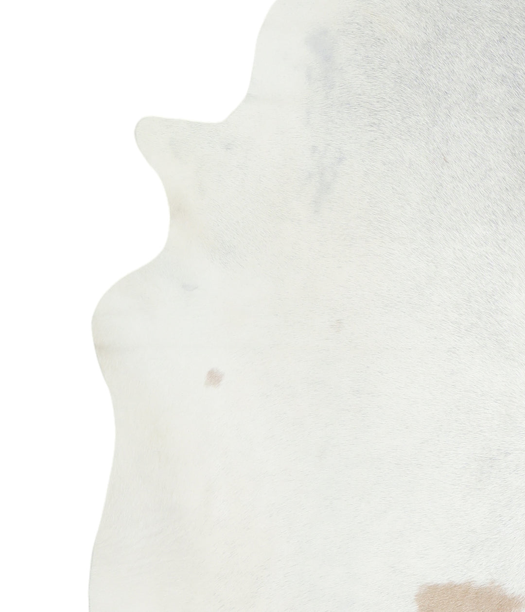 Ivory with Beige XX-Large Brazilian Cowhide Rug 7'5"H x 6'8"W #A16913 