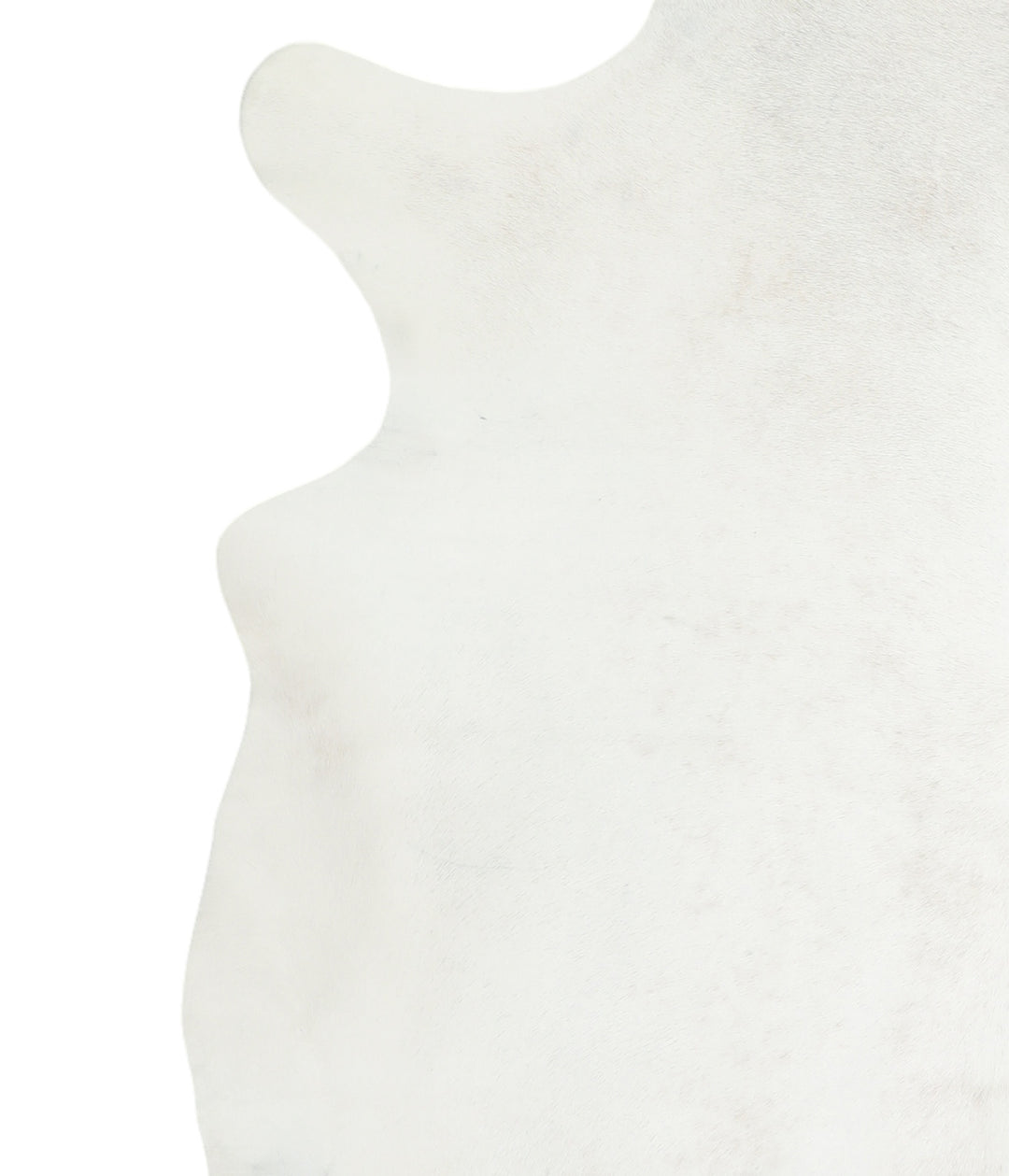 Light Grey XX-Large Brazilian Cowhide Rug 7'4"H x 6'11"W #A16916 by Hu