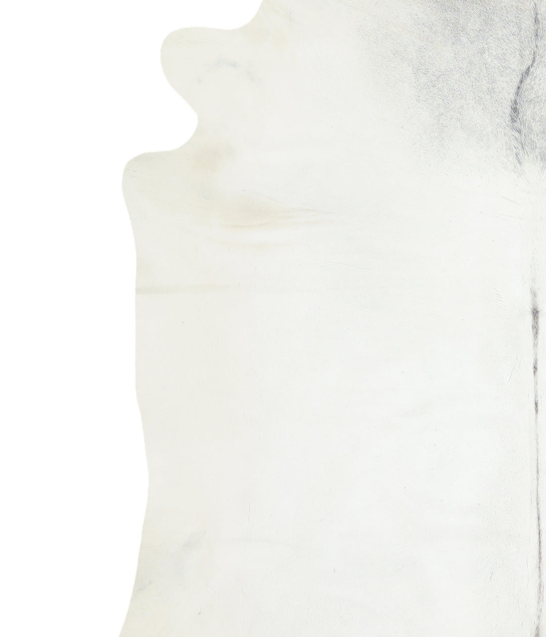 Light Grey XX-Large Brazilian Cowhide Rug 7'3"H x 7'7"W #A16941 by Hud