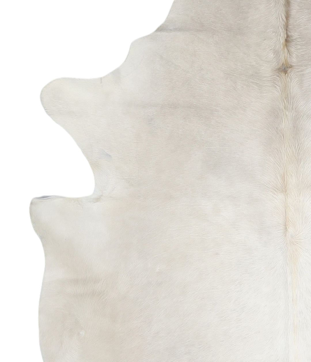 Ivory with Beige X-Large Brazilian Cowhide Rug 7'2"H x 6'9"W #A17129 b