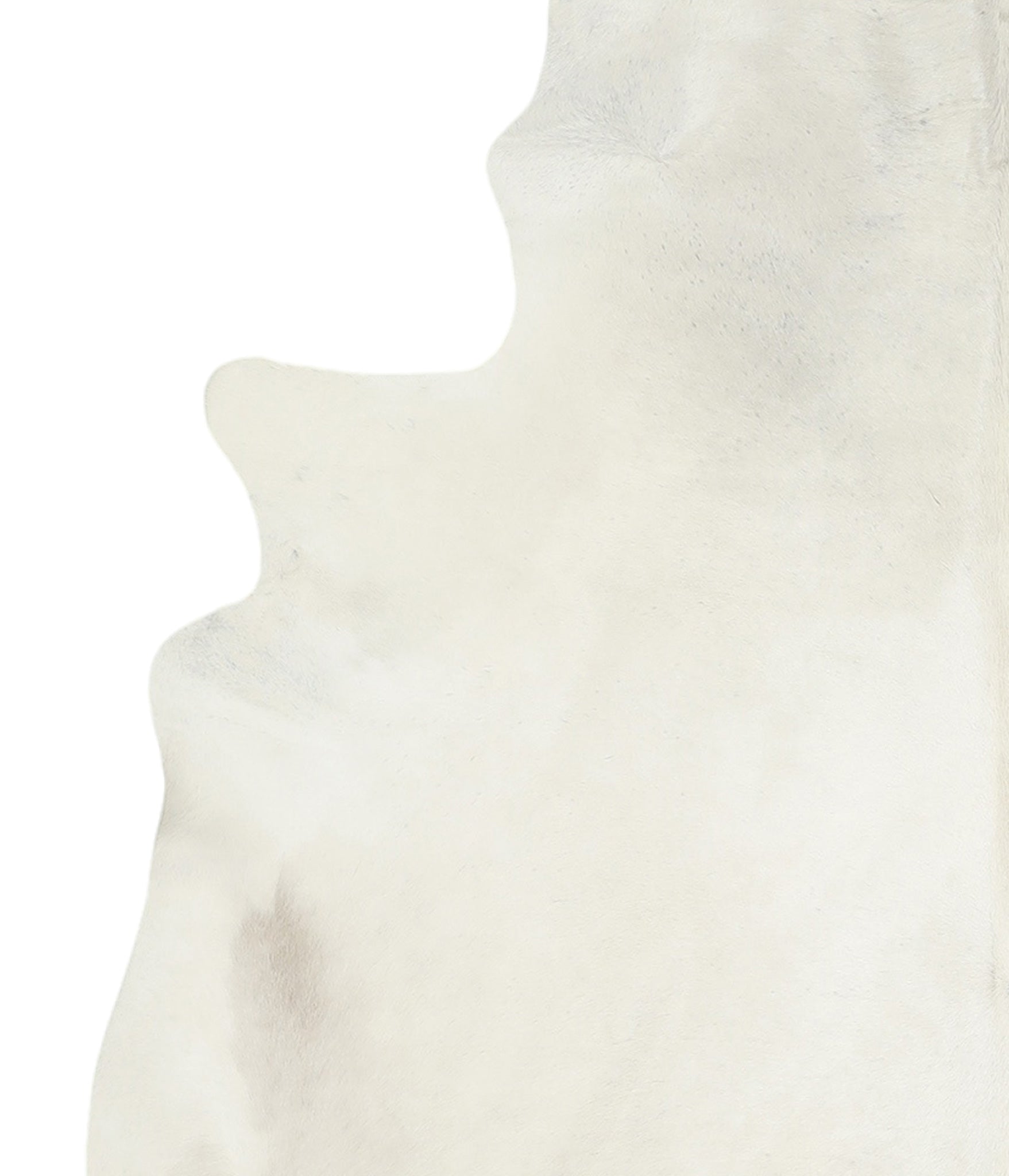 Ivory with Beige Cowhide Rug #A17334