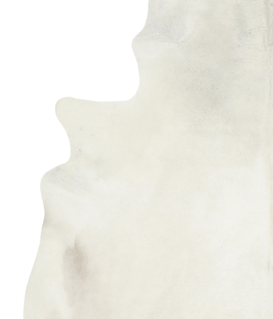 Ivory with Beige XX-Large Brazilian Cowhide Rug 7'10"H x 6'9"W #A17334