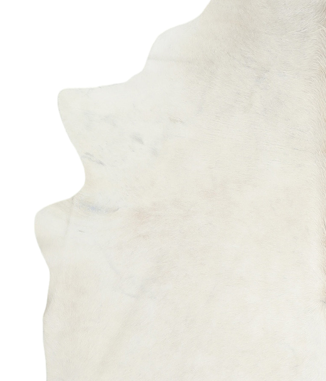 Ivory with Beige X-Large Brazilian Cowhide Rug 7'4"H x 6'3"W #A17734 b