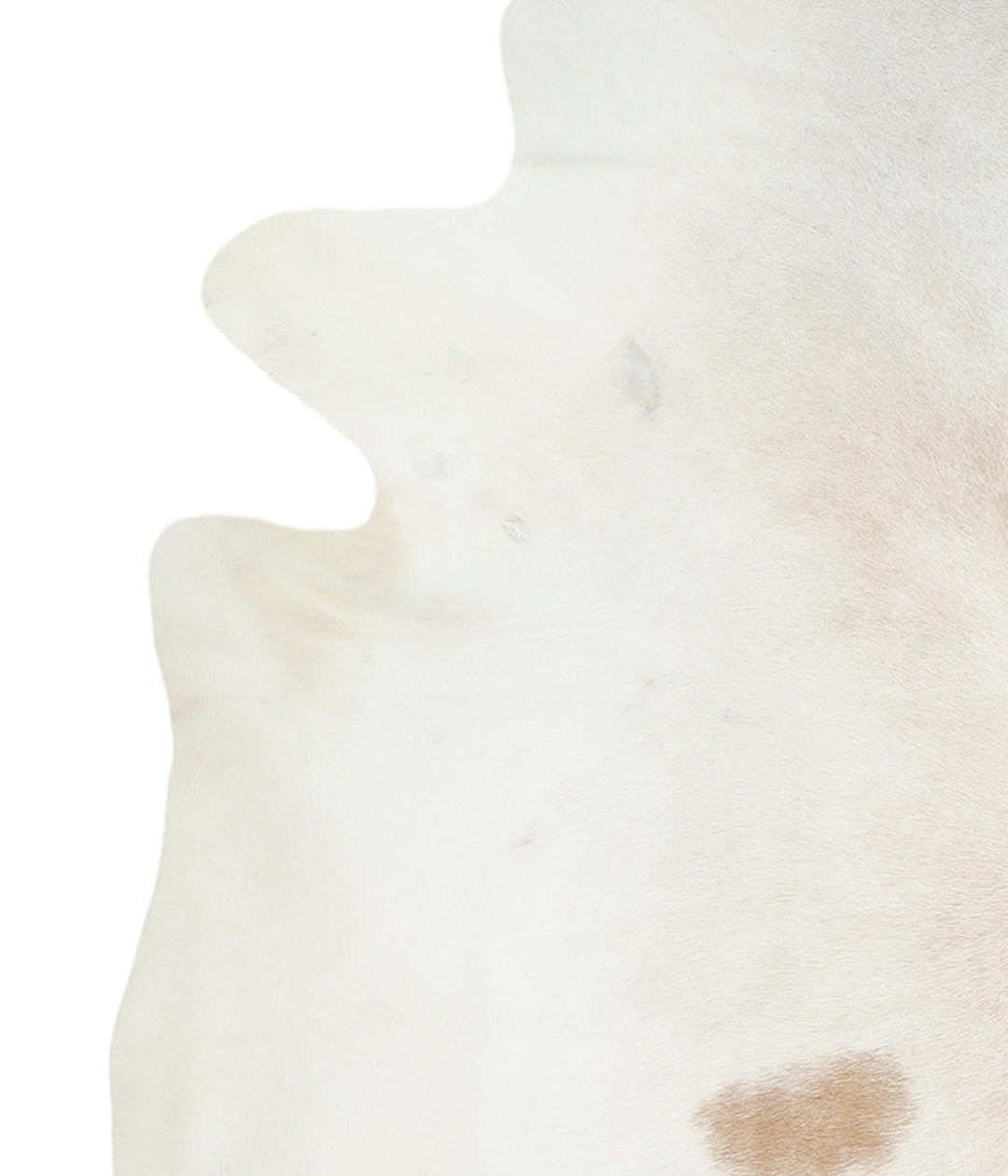 Ivory with Beige X-Large Brazilian Cowhide Rug 7'2"H x 6'6"W #A17846 b