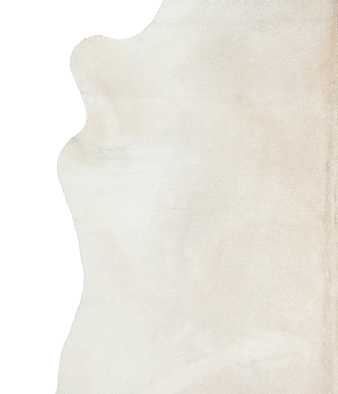 Ivory with Beige X-Large Brazilian Cowhide Rug 6'9"H x 6'11"W #A17963 