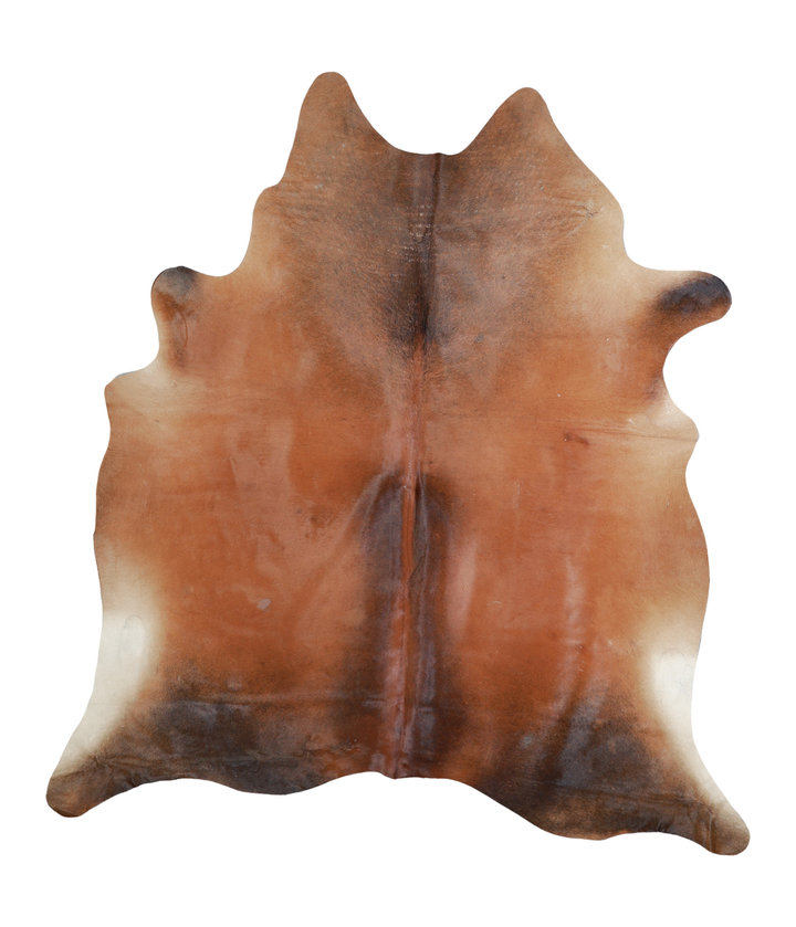 Warm Caramel X-Large Brazilian Cowhide Rug 7'3"H x 6'5"W #A18021 by Hudson Hides