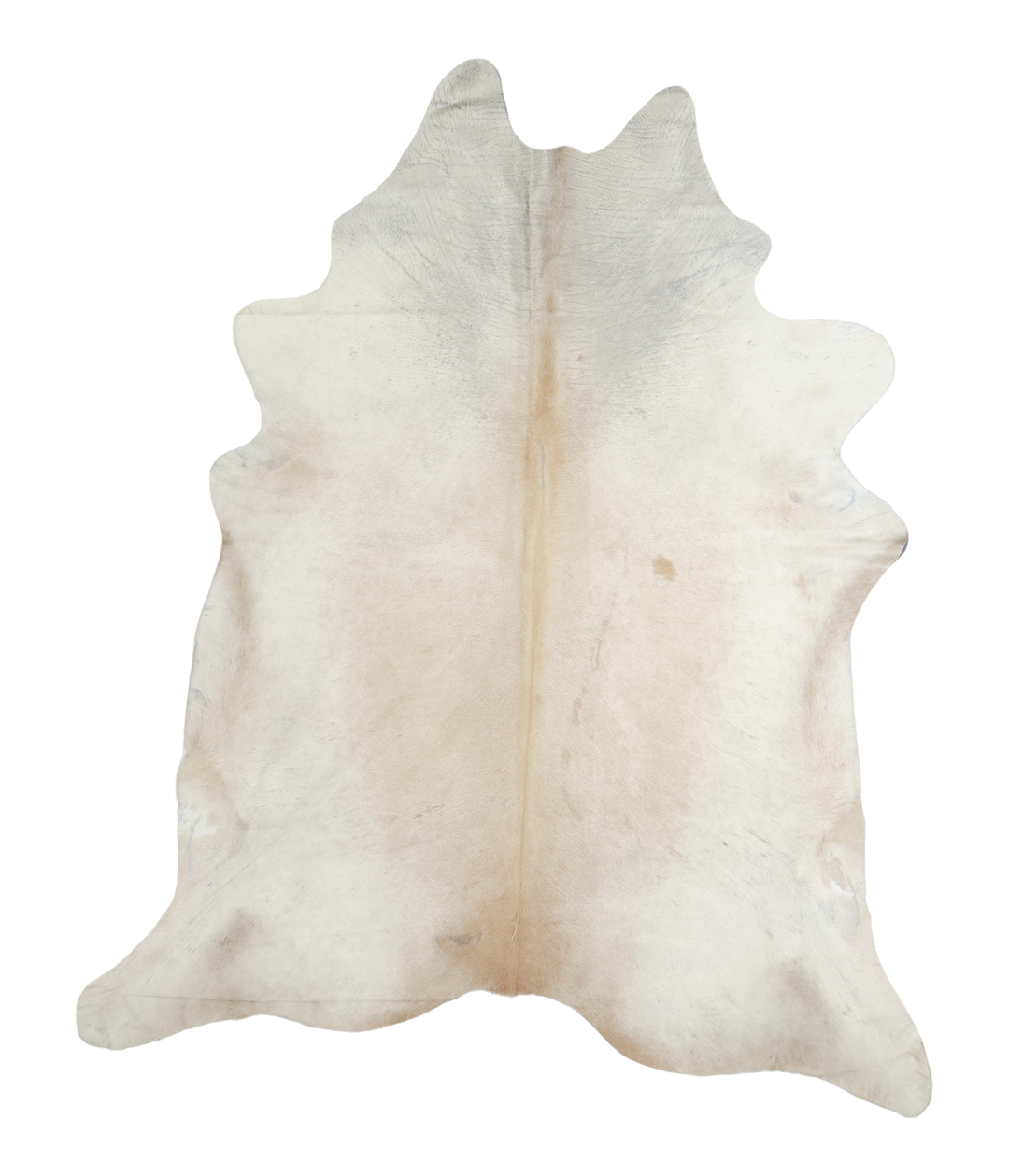 Ivory with Beige XX-Large Brazilian Cowhide Rug 8'5"H x 6'9"W #A18040 