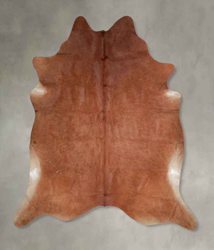 Solid Brown X-Large Brazilian Cowhide Rug 7'0"H x 6'11"W #A18069 by Hudson Hides