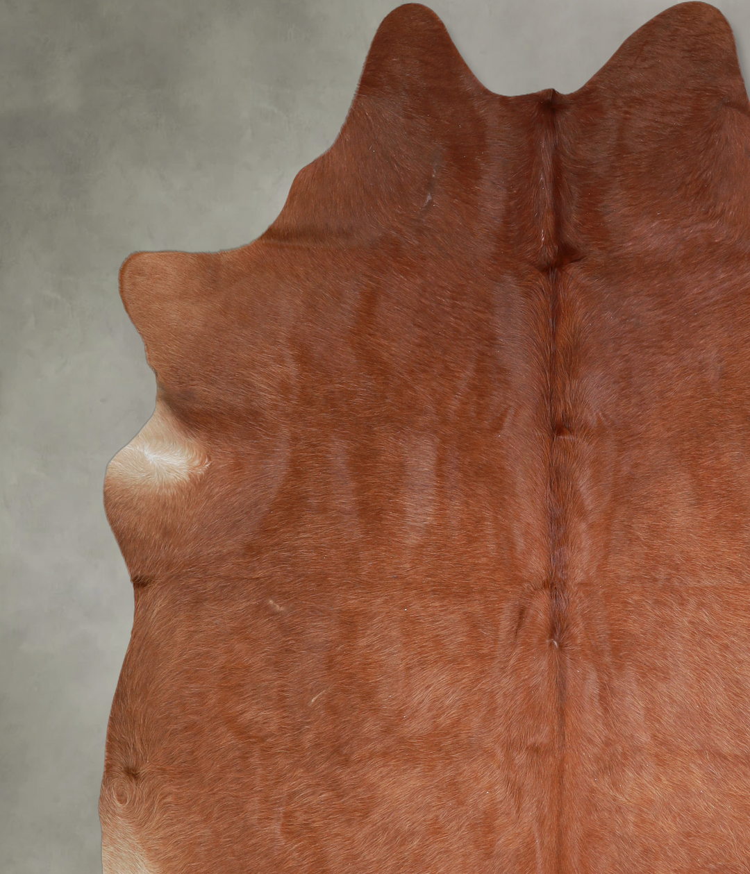 Solid Brown X-Large Brazilian Cowhide Rug 7'0"H x 6'11"W #A18069 by Hu