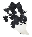 Black and White X-Large Brazilian Cowhide Rug 7'8"H x 6'6"W #A18076 by Hudson Hides