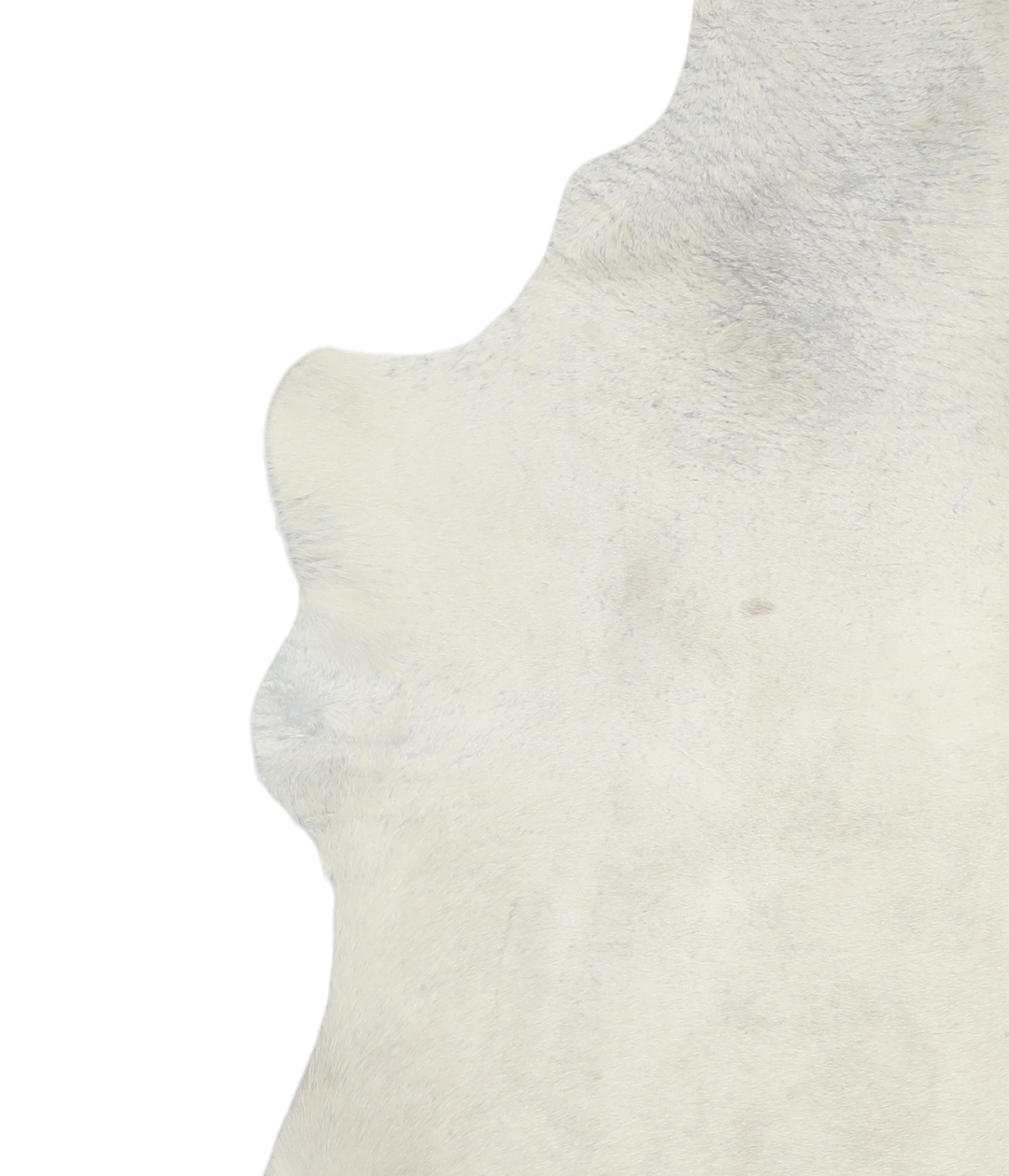 Ivory with Beige X-Large Brazilian Cowhide Rug 7'3"H x 6'2"W #A18138 b