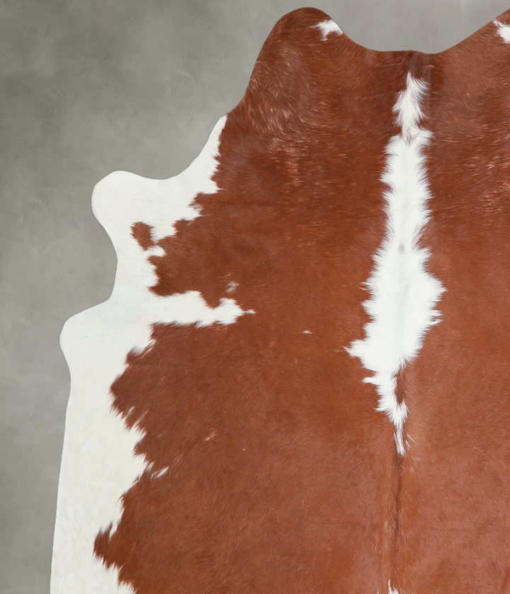 Brown and White Large Brazilian Cowhide Rug 6'7"H x 6'0"W #A18176 by Hudson Hides
