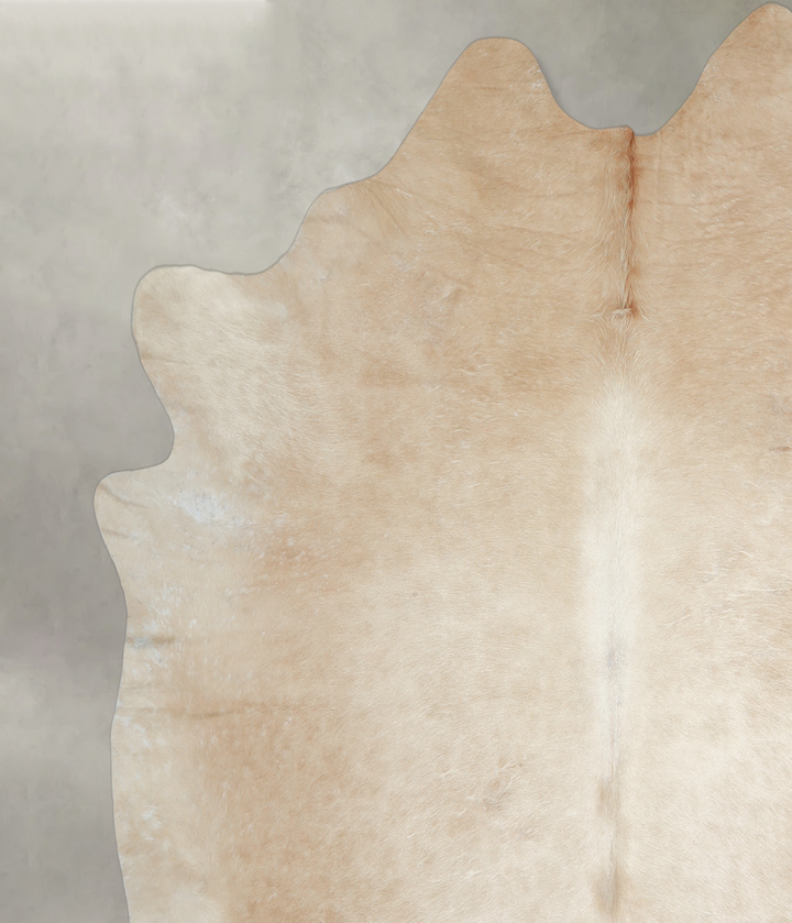 Beige XX-Large Brazilian Cowhide Rug 7'5"H x 7'2"W #A18192 by Hudson Hides