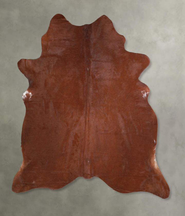 Solid Brown Large Brazilian Cowhide Rug 6'1"H x 5'10"W #A18193 by Hudson Hides