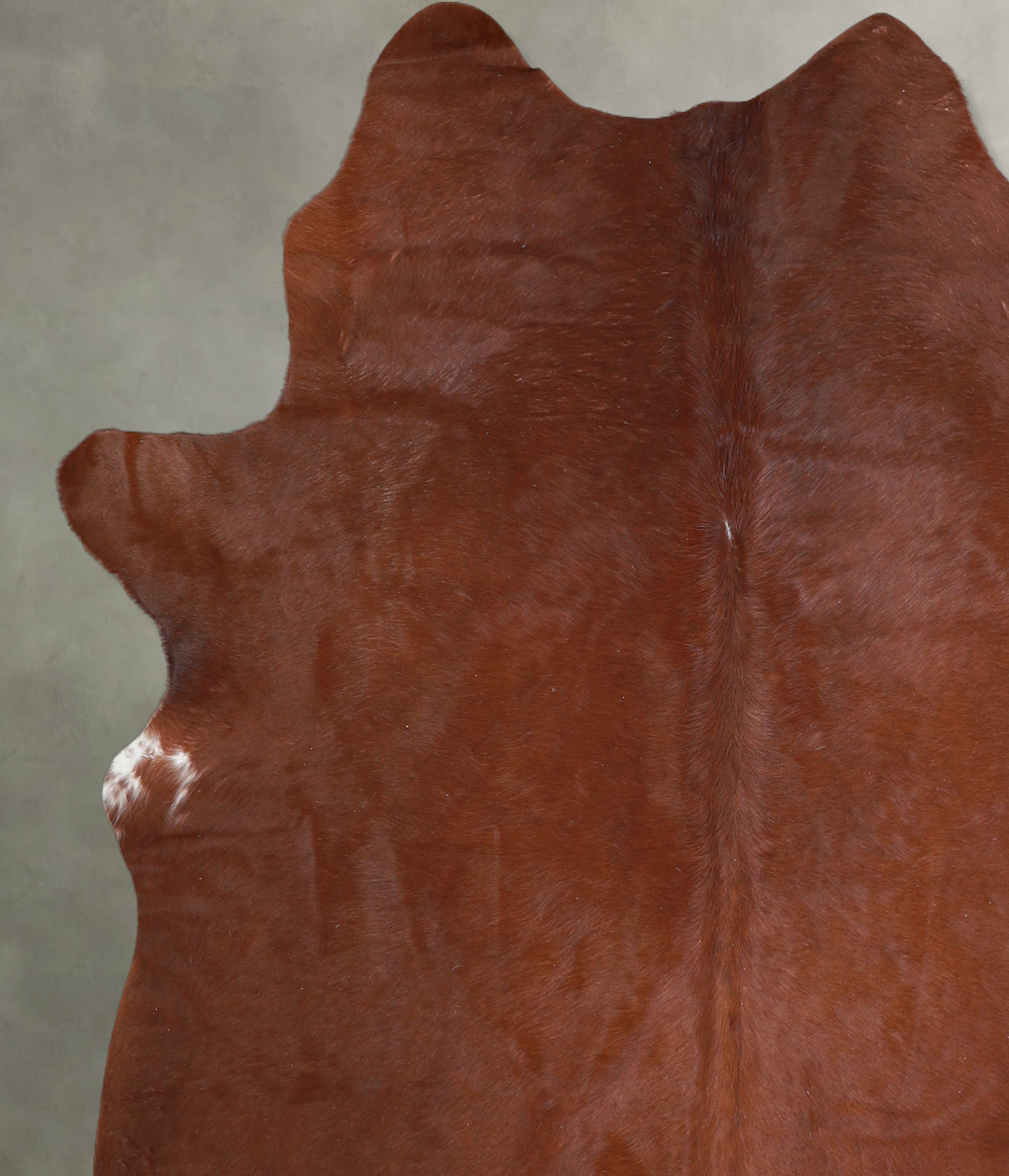 Solid Brown Large Brazilian Cowhide Rug 6'1"H x 5'10"W #A18193 by Huds