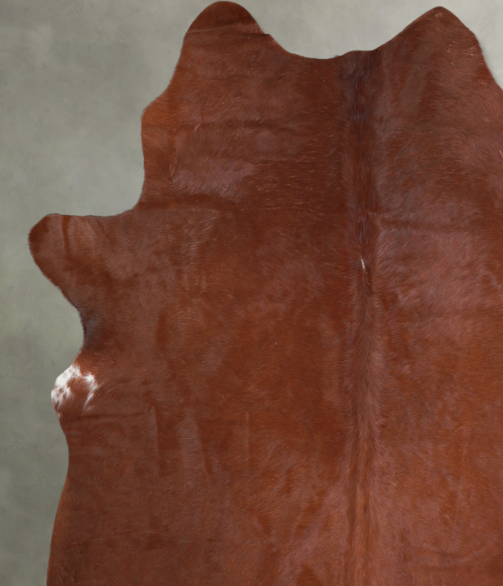 Solid Brown Large Brazilian Cowhide Rug 6'1"H x 5'10"W #A18193 by Hudson Hides