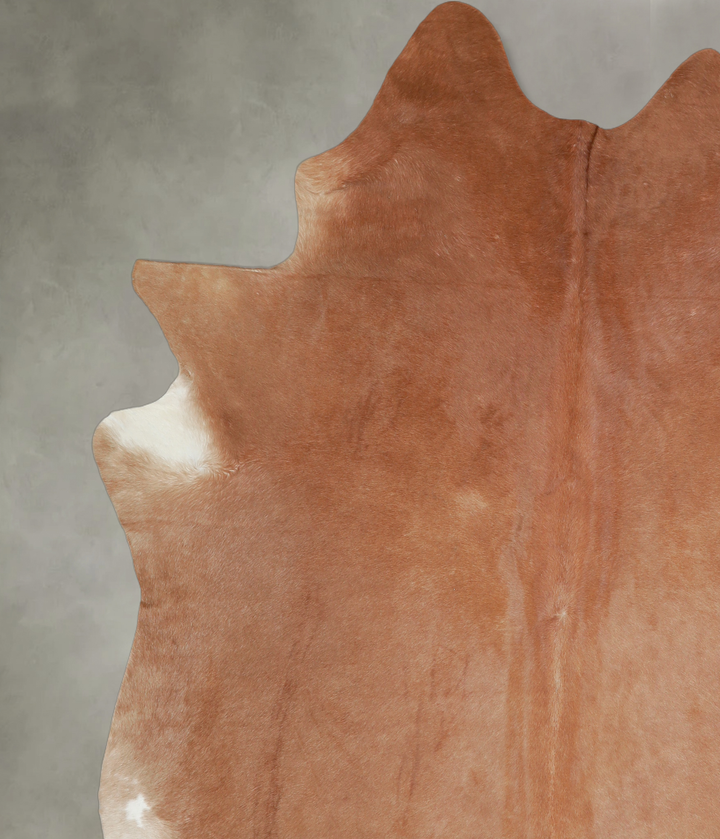 Solid Brown X-Large Brazilian Cowhide Rug 7'2"H x 6'8"W #A18201 by Hudson Hides