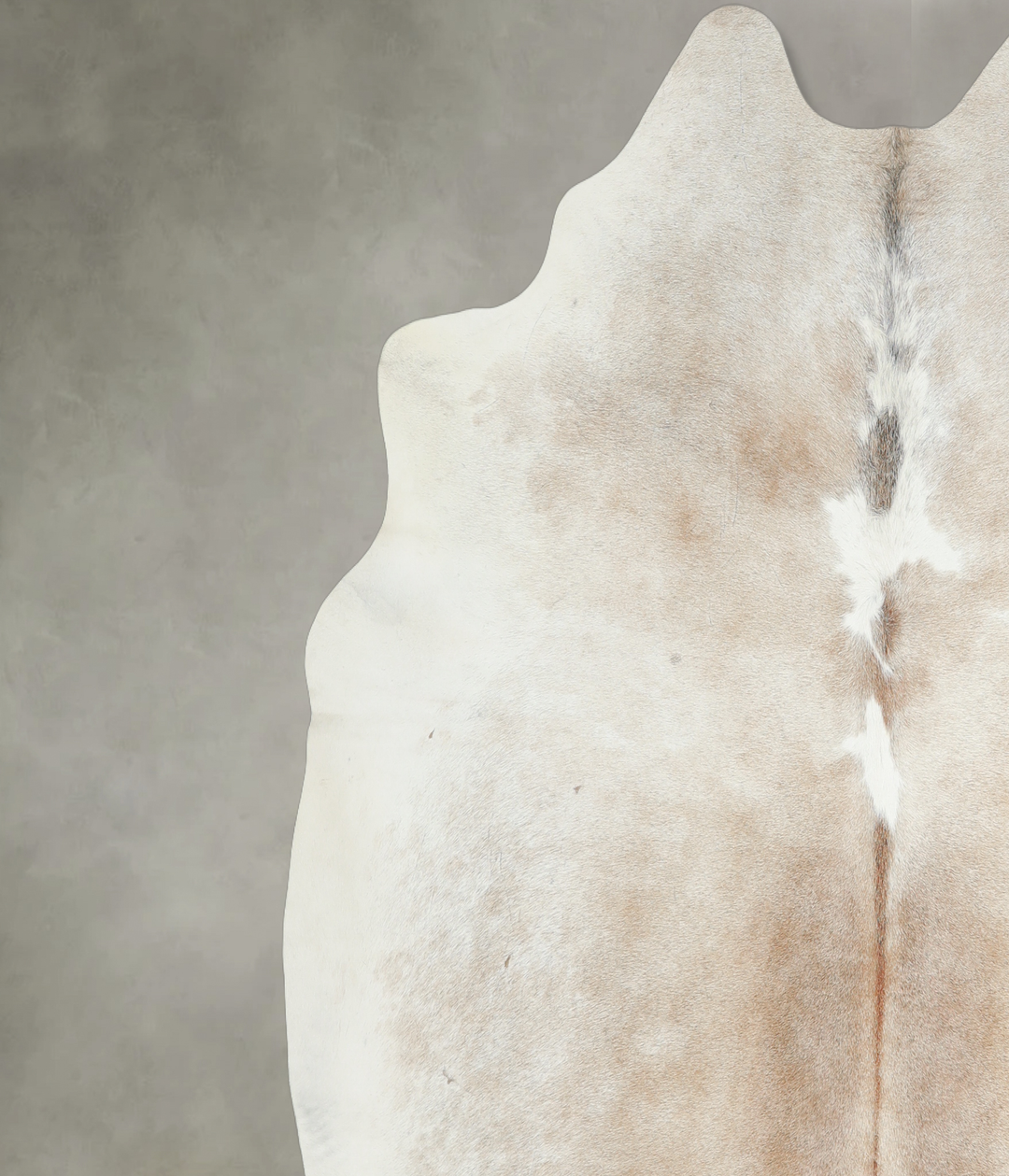 Grey with Beige X-Large Brazilian Cowhide Rug 6'11"H x 6'4"W #A18253 b