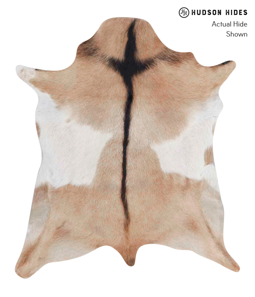 Goatskin Approx 2'x3' #A1827 by Hudson Hides