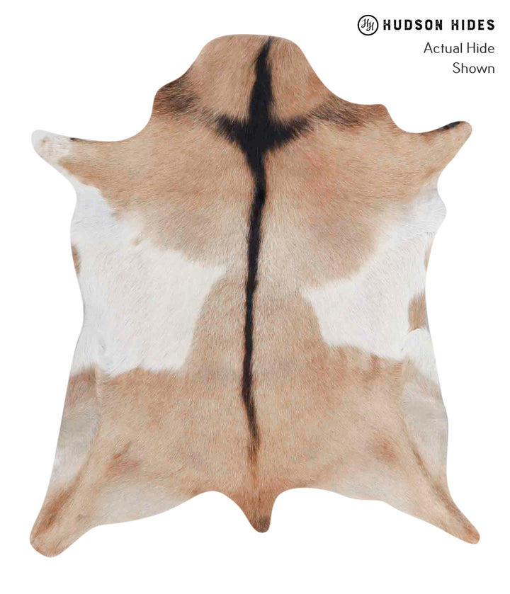 Goatskin Approx 2'x3' #A1827 by Hudson Hides