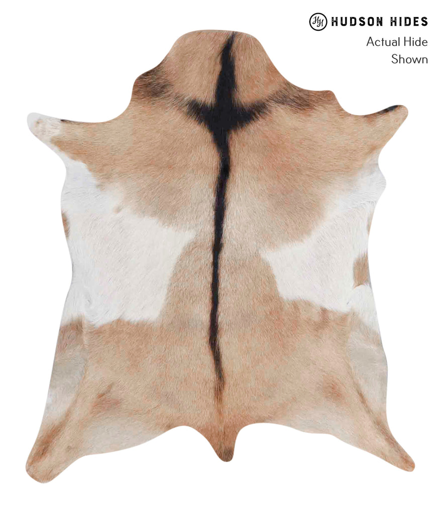 Goatskin Approx 2'x3' #A1827 by Hudson Hides