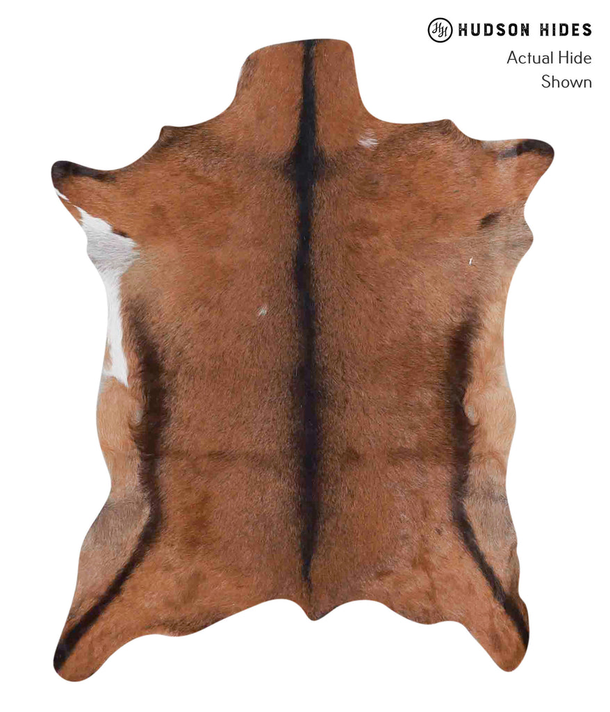 Goatskin Approx 2'x3' #A1841 by Hudson Hides
