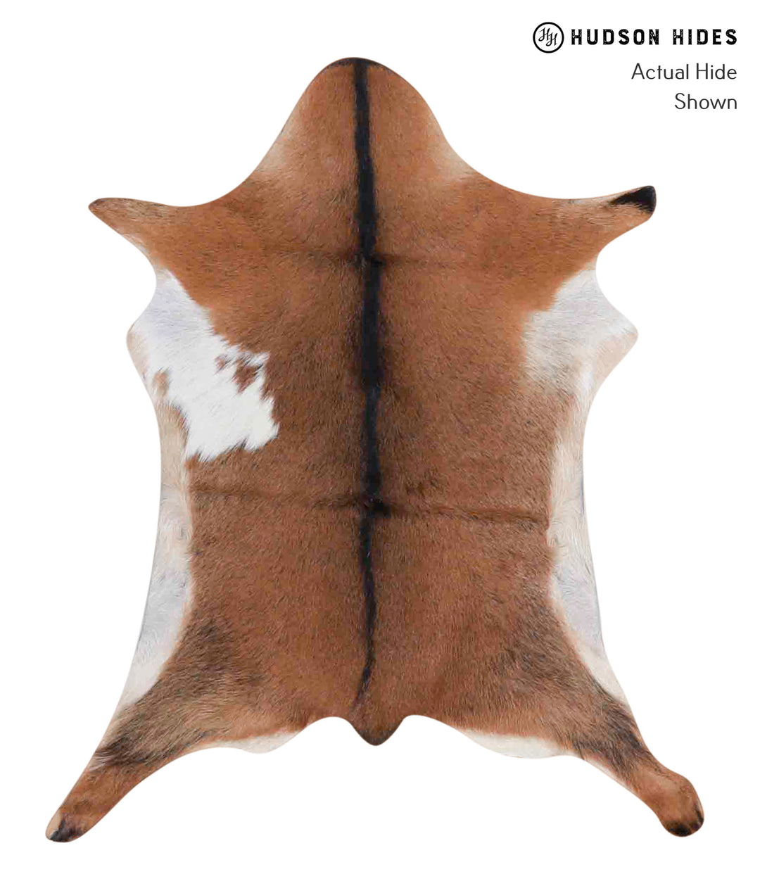 Goatskin Approx 2'x3' #A1845 by Hudson Hides