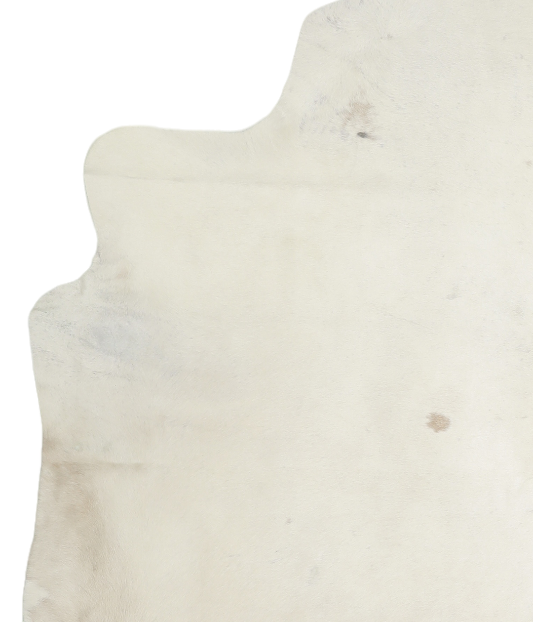 Ivory with Beige X-Large Brazilian Cowhide Rug 7'11"H x 6'2"W #A18458 