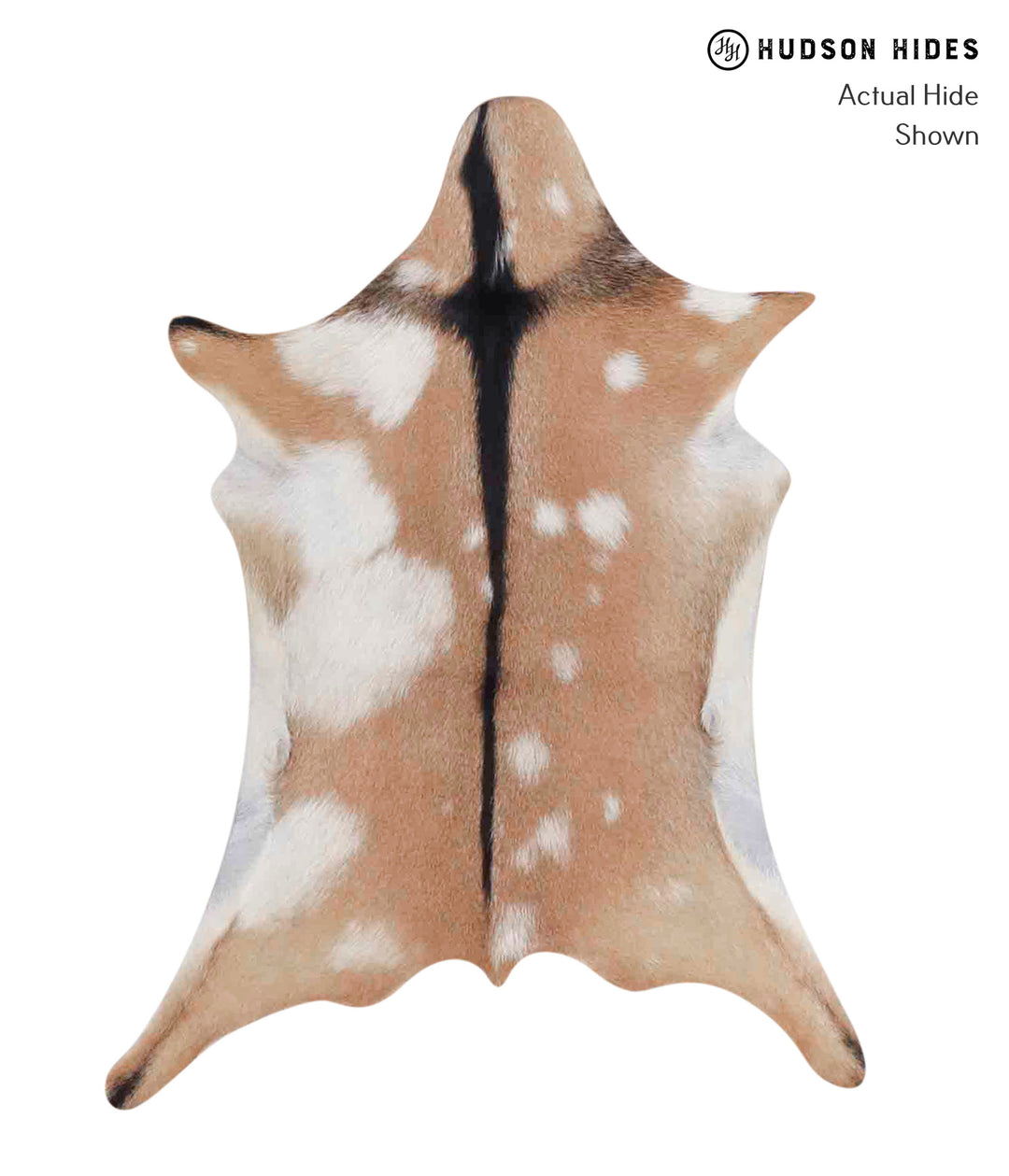 Goatskin Approx 2'x3' #A1849 by Hudson Hides