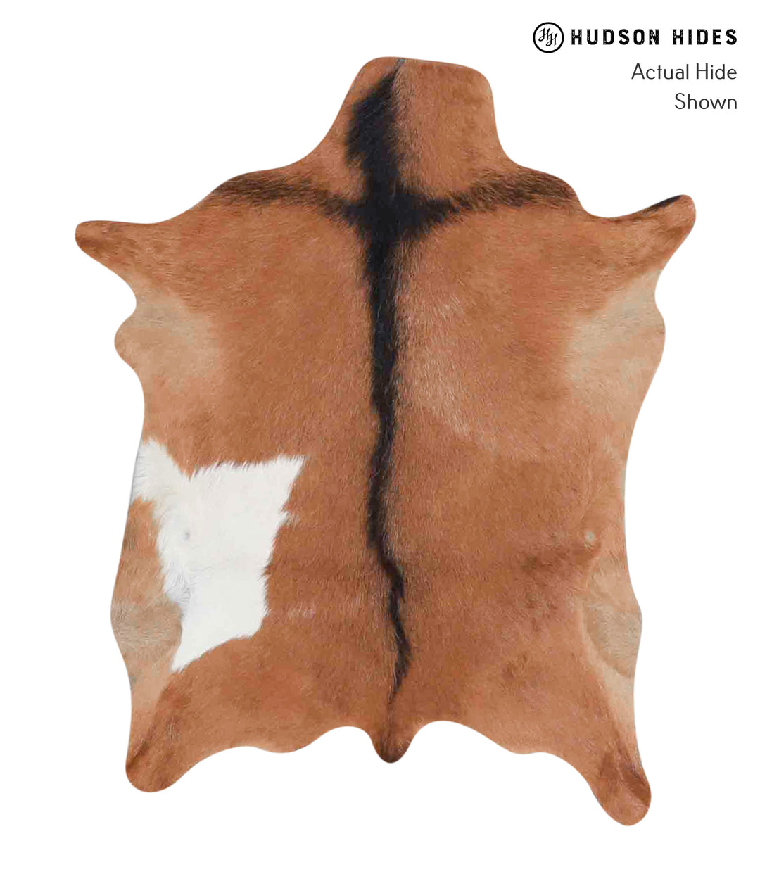 Goatskin Approx 2'x3' #A1861 by Hudson Hides