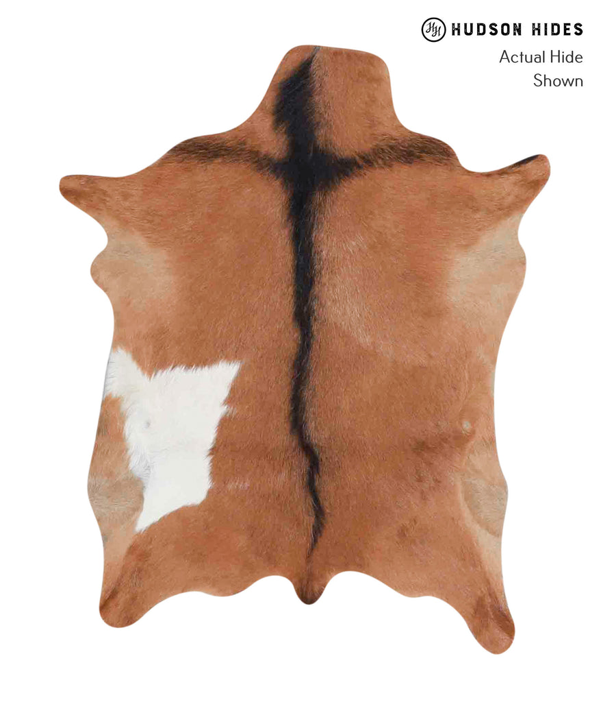 Goatskin Approx 2'x3' #A1861 by Hudson Hides