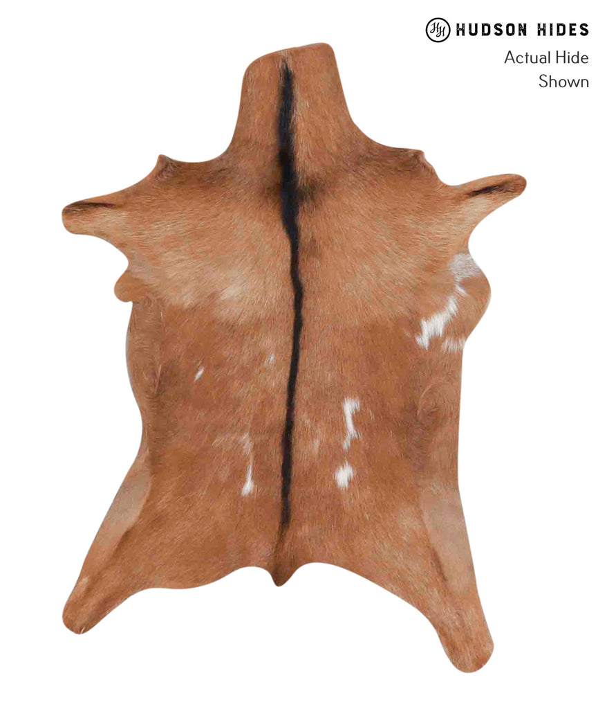 Goatskin Approx 2'x3' #A1862 by Hudson Hides