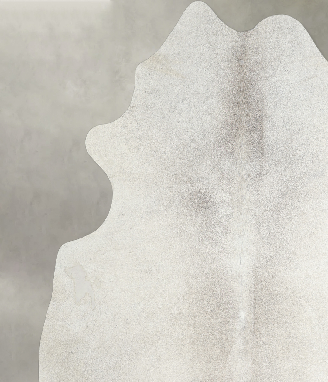 Medium Grey X-Large Brazilian Cowhide Rug 6'8"H x 6'4"W #A18771 by Hud