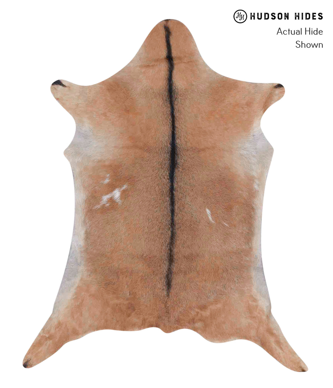 Goatskin Approx 2'x3' #A1884 by Hudson Hides