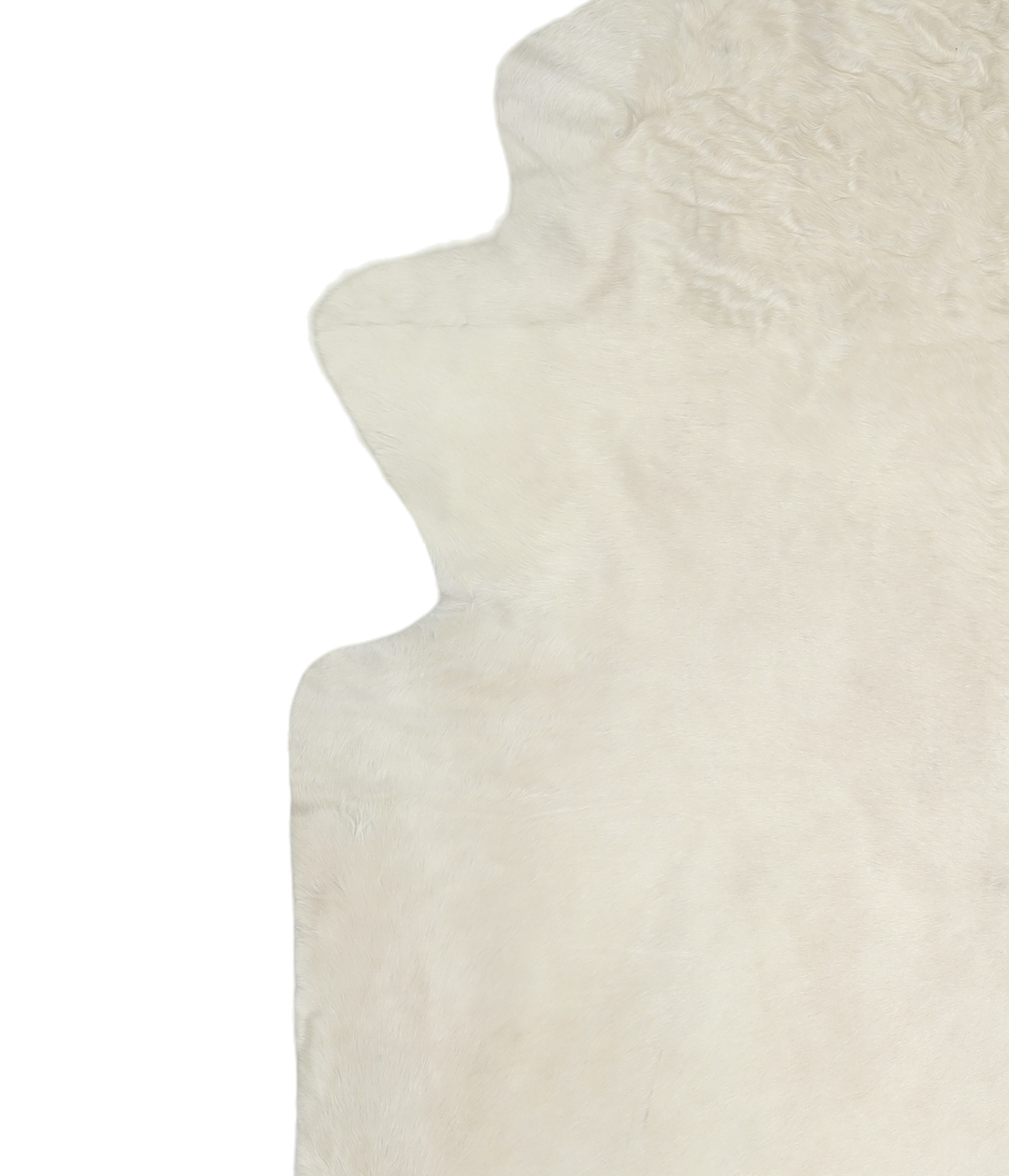 Ivory with Beige XX-Large Brazilian Cowhide Rug 8'5"H x 7'6"W #A18897 