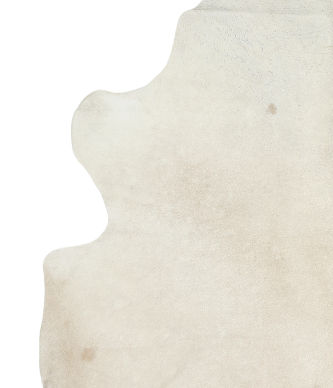 Ivory with Beige X-Large Brazilian Cowhide Rug 7'7"H x 6'1"W #A18973 b