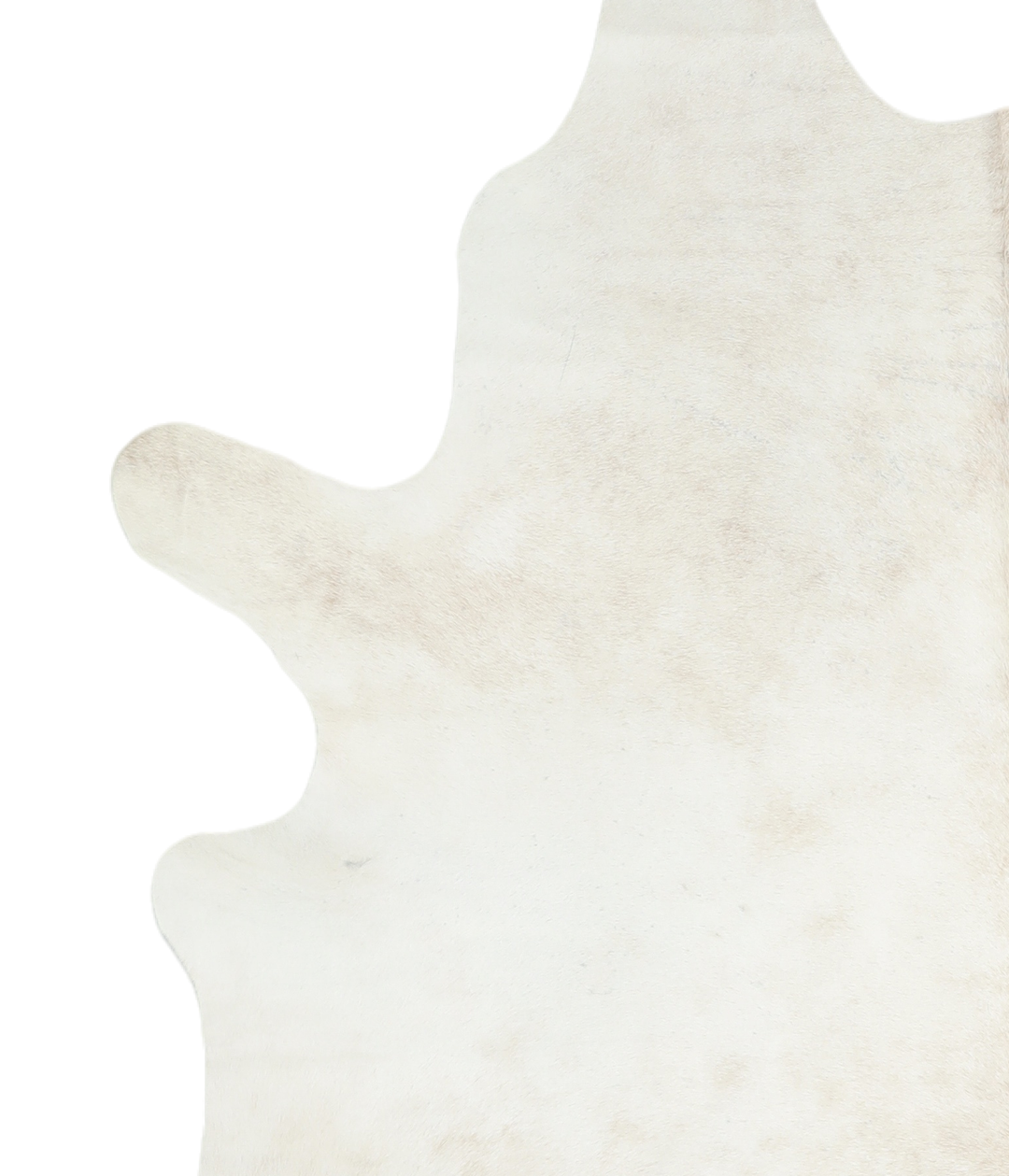 Ivory with Beige X-Large Brazilian Cowhide Rug 7'9"H x 6'3"W #A18974 b