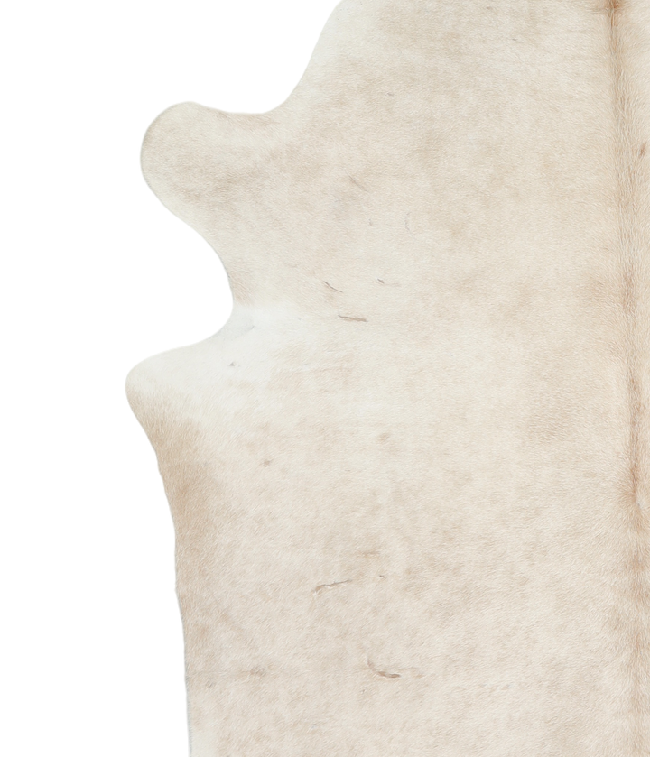 Ivory with Beige XX-Large Brazilian Cowhide Rug 7'5"H x 7'2"W #A18983 by Hudson Hides