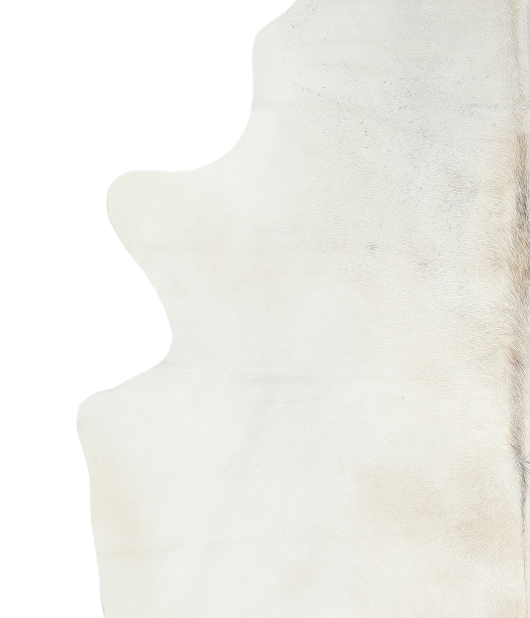 Ivory with Beige X-Large Brazilian Cowhide Rug 7'1"H x 6'4"W #A19100 b