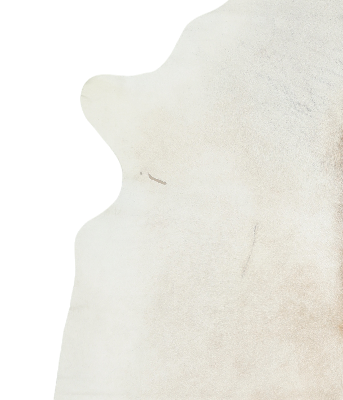 Ivory with Beige X-Large Brazilian Cowhide Rug 7'5"H x 6'8"W #A19149 by Hudson Hides