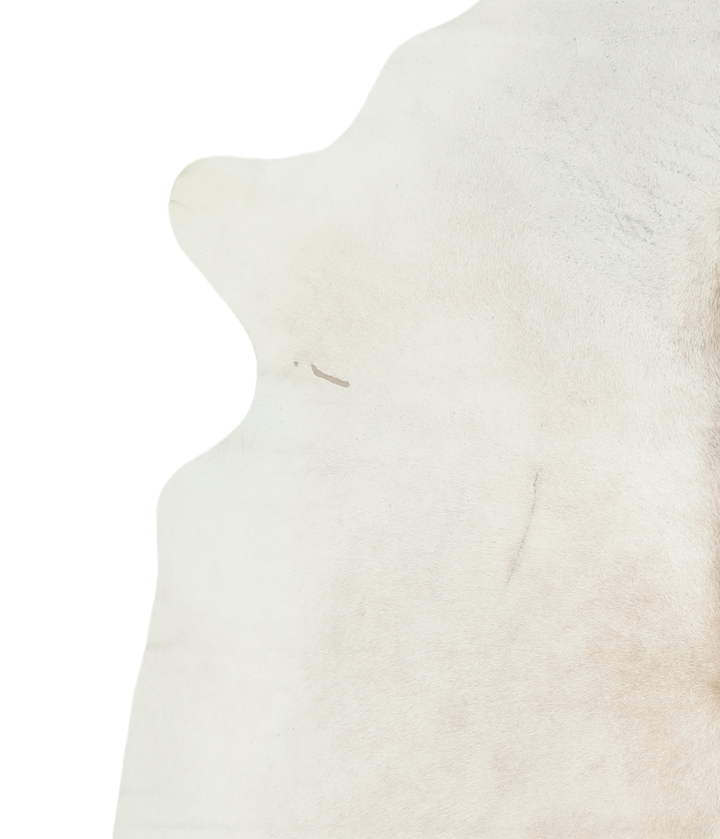 Ivory with Beige X-Large Brazilian Cowhide Rug 7'5"H x 6'8"W #A19149 by Hudson Hides