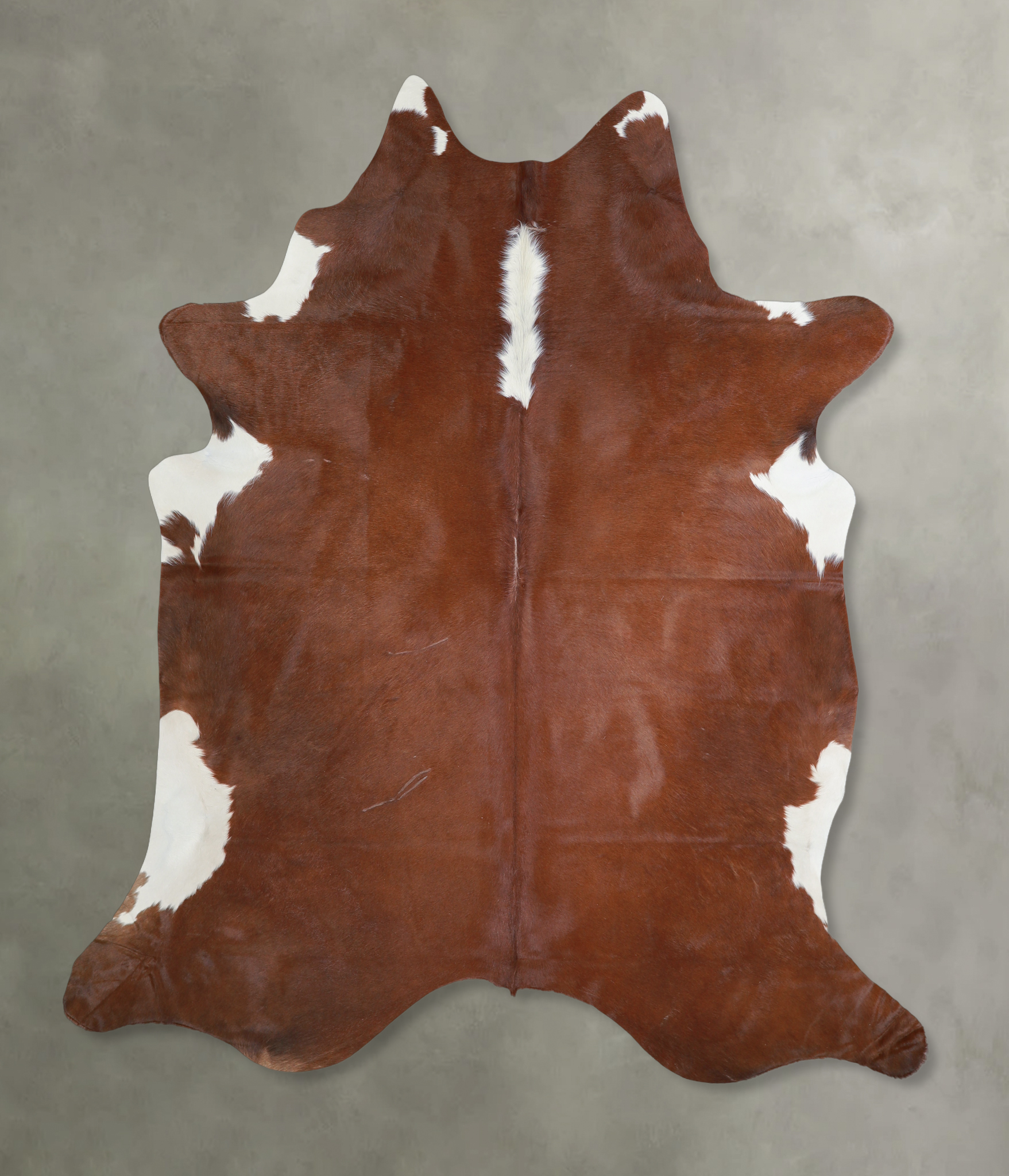 Brown and White Regular Cowhide Rug #A19229