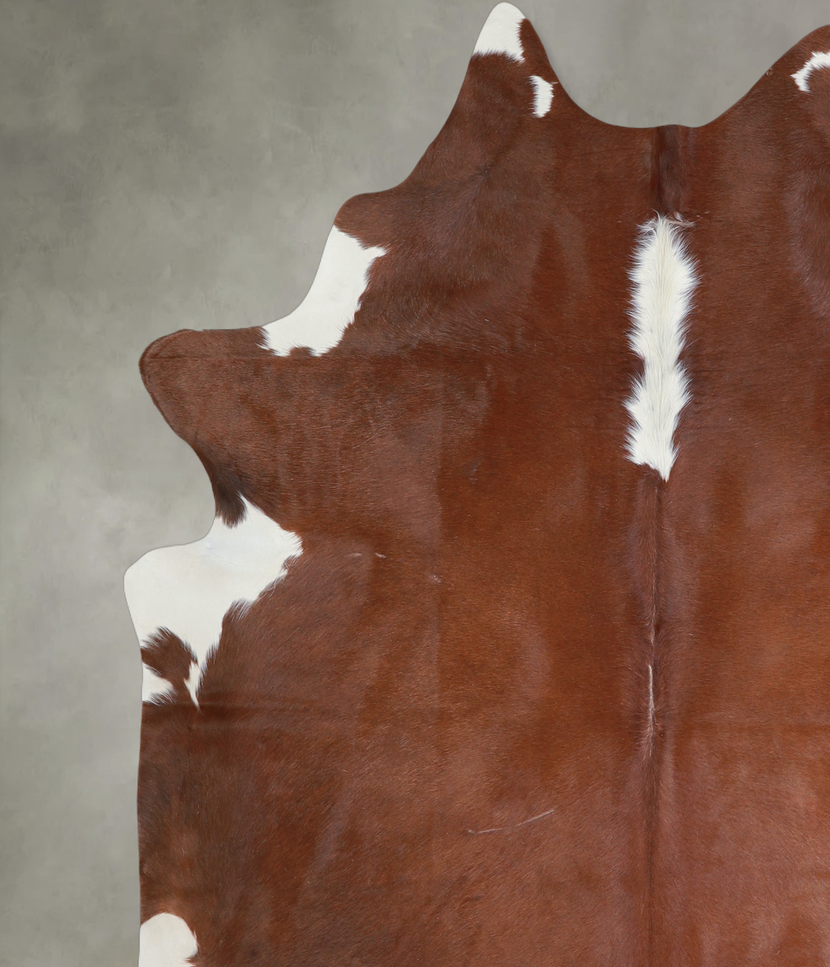 Brown and White Regular X-Large Brazilian Cowhide Rug 6'9"H x 6'1"W #A19229 by Hudson Hides