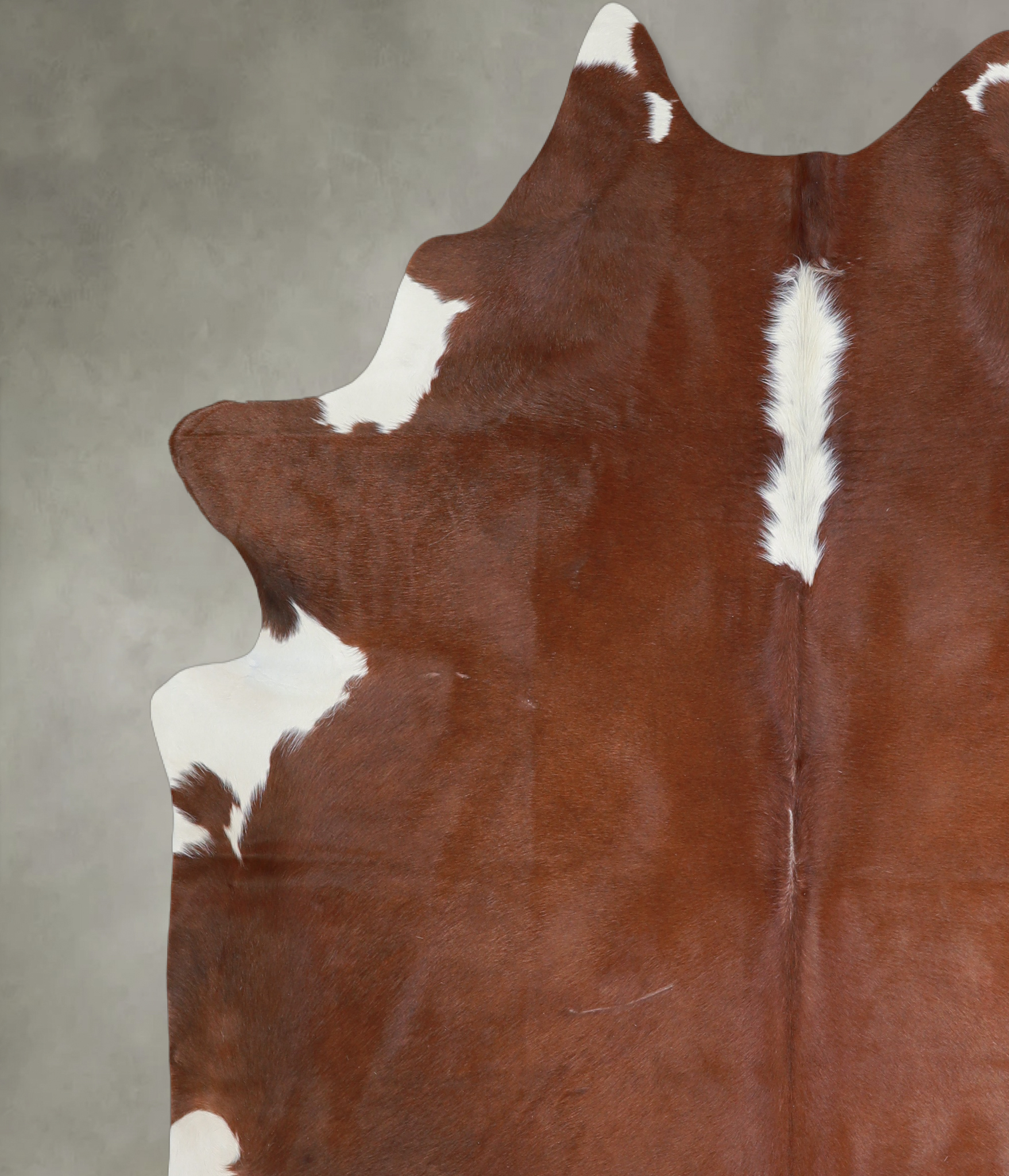 Brown and White Regular Cowhide Rug #A19229