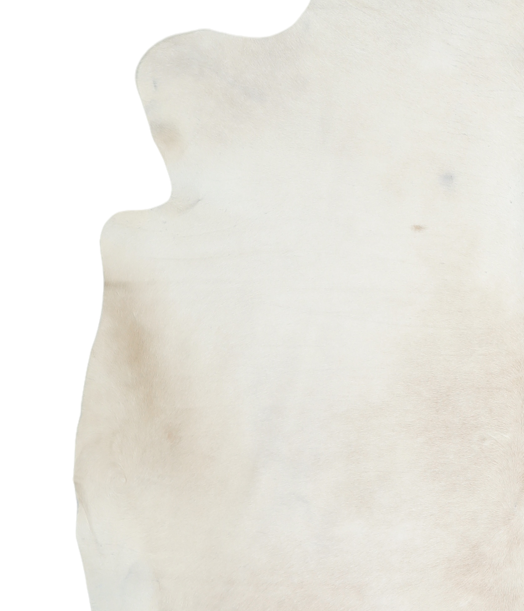 Ivory with Beige X-Large Brazilian Cowhide Rug 6'10"H x 6'10"W #A19307