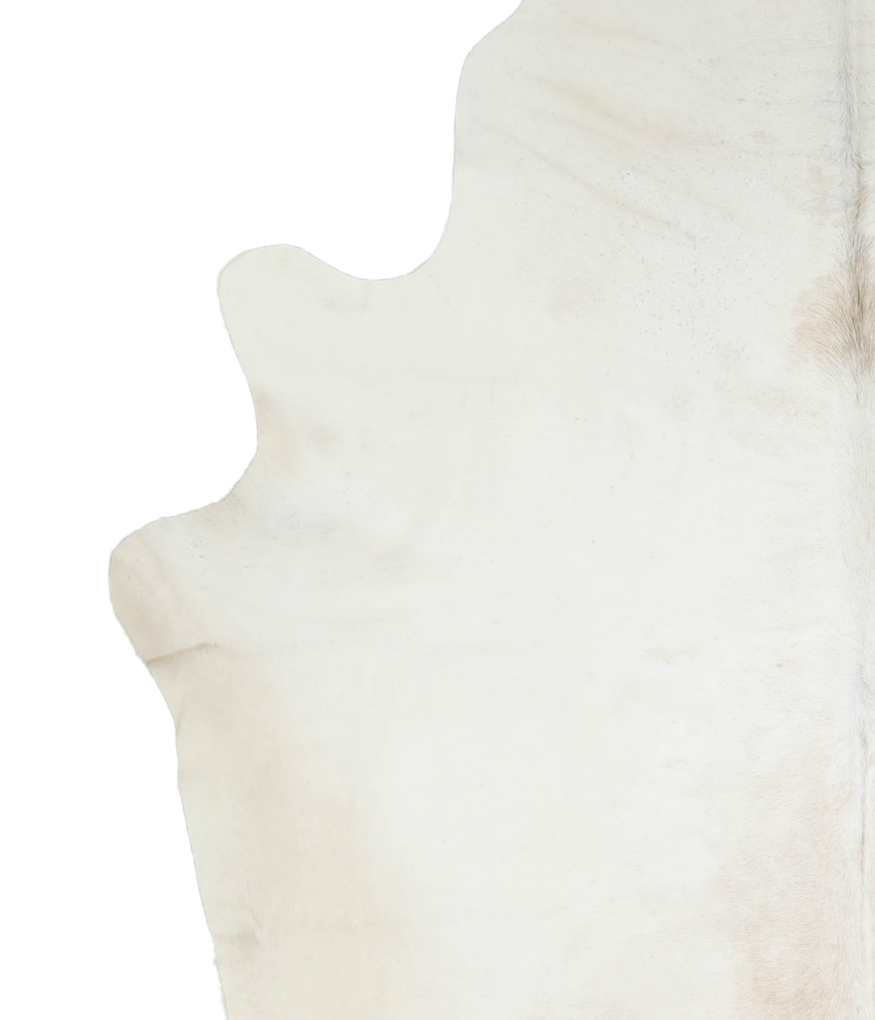 Ivory with Beige Cowhide Rug #A19368