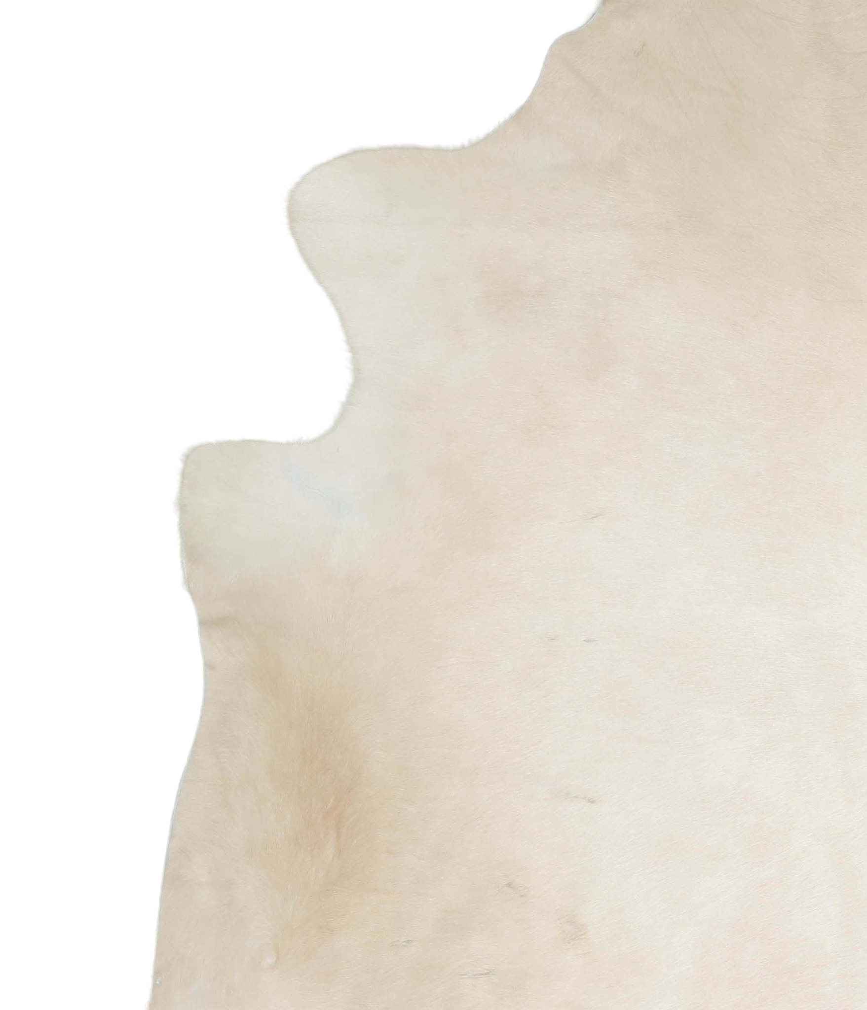 Palomino Cowhide Rug #A19834
